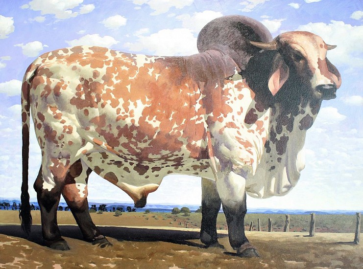 NEIL RODGER, BRAHMAN BULL
OIL ON CANVAS