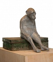 WAC15806