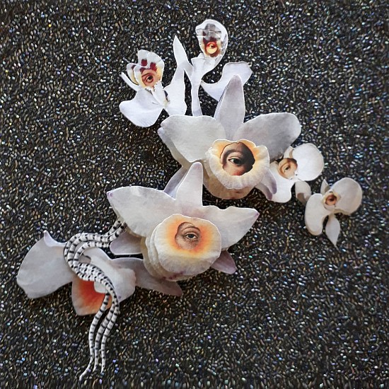 BARBARA WILDENBOER, EVE
2018, REPHOTOGRAPHED ANALOGUE COLLAGE