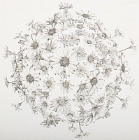 exult