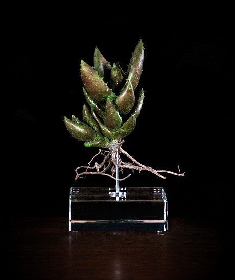 NIC BLADEN, ALOE PERFOLIATA
2019, BRONZE AND STERLING SILVER