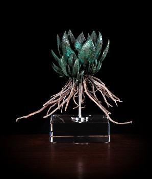 Gasteria