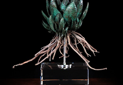 Gasteria