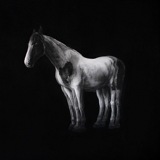 HENK SERFONTEIN, A WALKING SHADOW III
2020, CHARCOAL AND MIXED MEDIA ON HANNEMUHLE PAPER