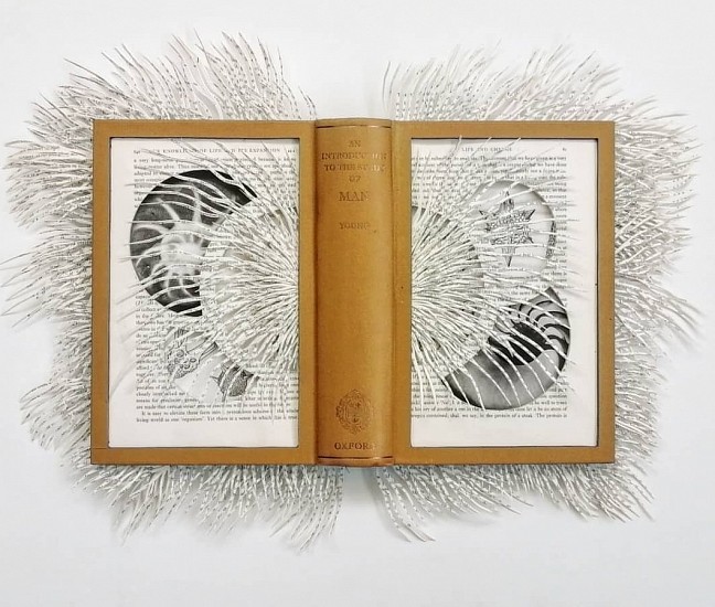 BARBARA WILDENBOER, THE STUDY OF MAN
2020, ALTERED BOOK
