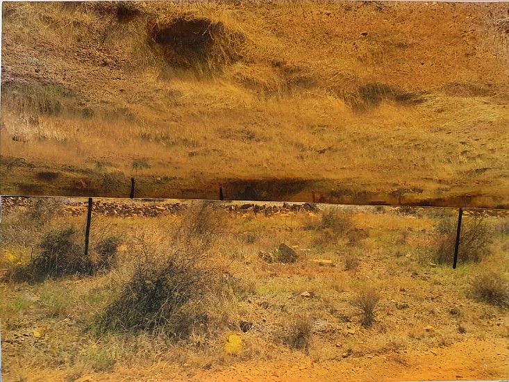LIZA GROBLER, DEELFONTEIN DRAWING 54
2020, MIXED MEDIA ON ARCHIVAL PRINT