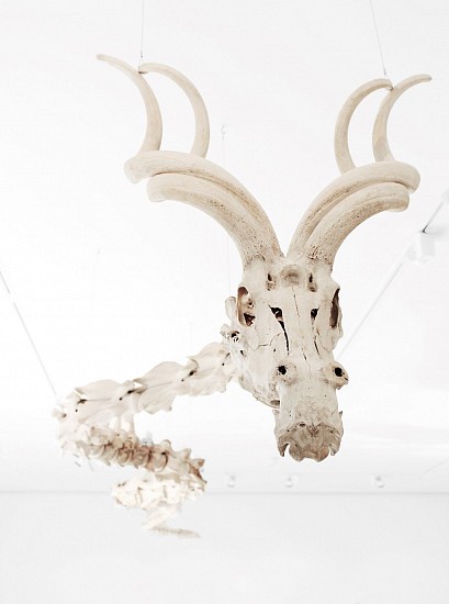 ERINN STRAUGHAN, ONCE UPON A TIME
GIRAFFE, ZEBRA, KUDU AND ANTELOPE BONE