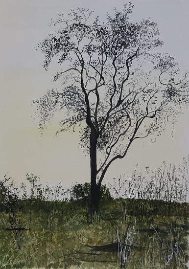 ARABELLA CACCIA, THORN TREE, SABIE
2023, Mixed Media on Paper