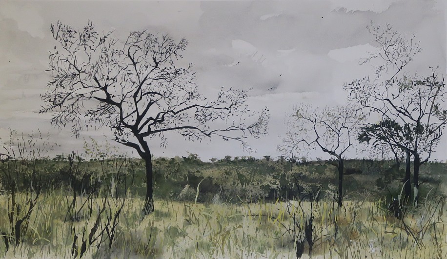 ARABELLA CACCIA, TREES, SABIE
2023, Mixed Media on Paper
