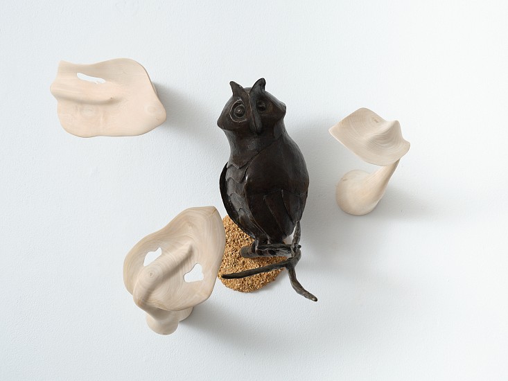 ATANG TSHIKARE
2023, BRONZE, SOIL AND WOOD