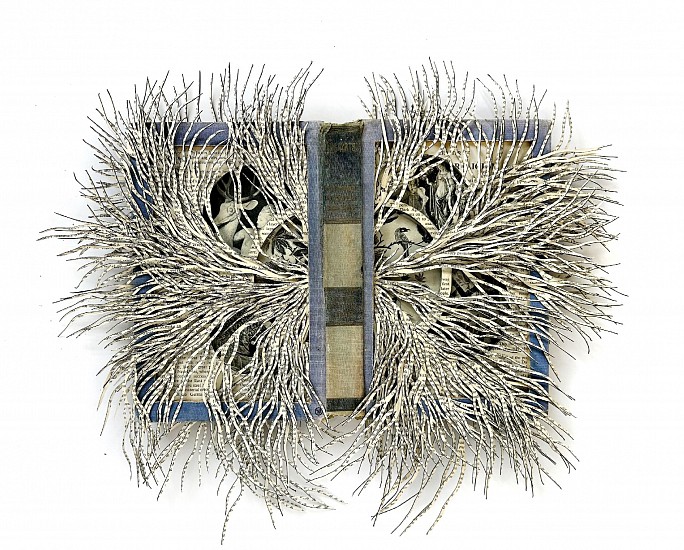 BARBARA WILDENBOER
2025, ALTERED BOOK