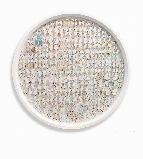 MARK RAUTENBACH, EVERYBODY'S NEIGHBOUR (LAST OF THE BUTTERFLIES SERIES)
PAPER, THREAD, ACRYLIC INKS & VARNISH