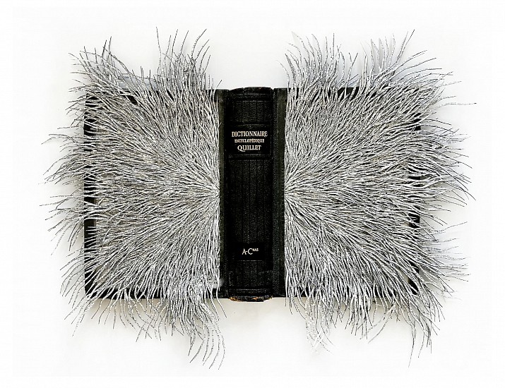 BARBARA WILDENBOER, DICTIONNAIRE ENCYCLOPÉDIQUE QUILLET
2026, ALTERED BOOK