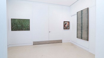 37 MEN06607