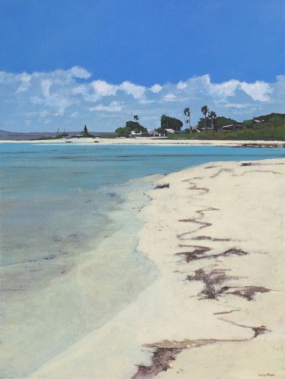DENBY MEYER, BEACH AT CHURCHHAVEN
2026, ACRYLIC ON CANVAS