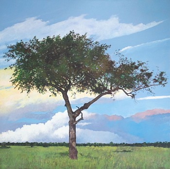 rac2689 timbavati summer